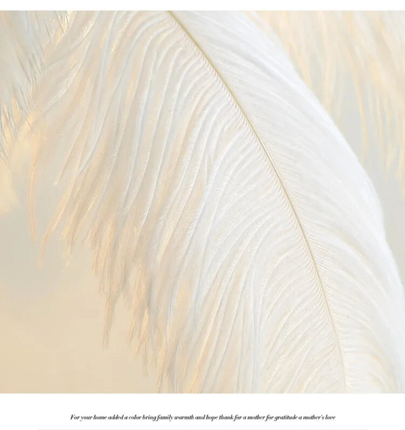Ostrich Feather Floor Lamp (Real Feathers)